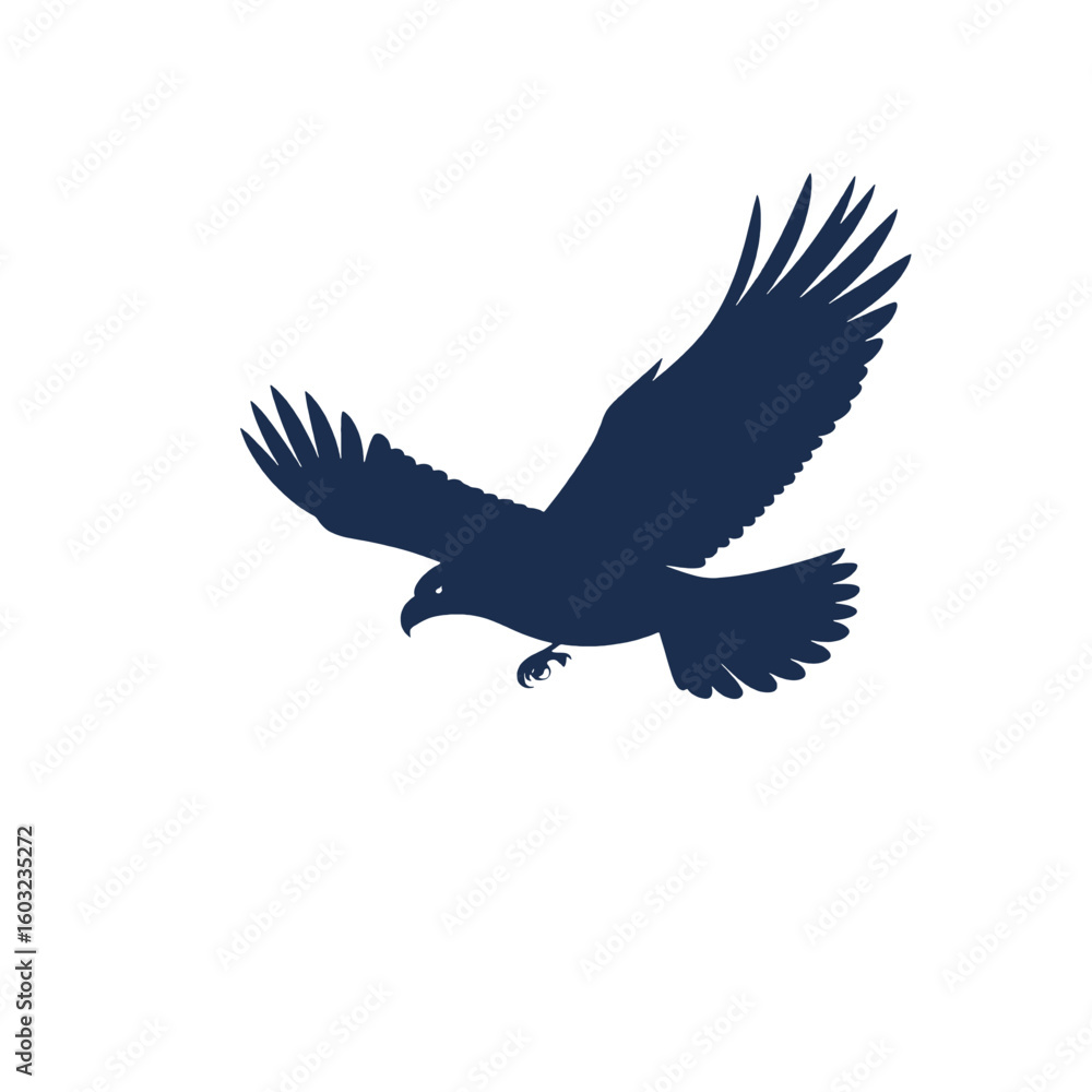 Fototapeta premium Dark Silhouette Of Flying Eagle