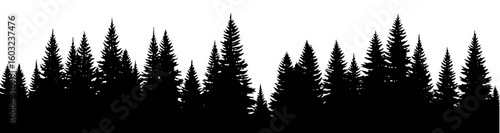 Natural evergreen treeline silhouette in black and white