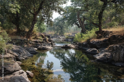 Lovely river in the dense jungle