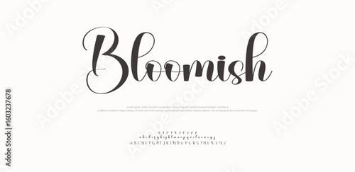 Signature Font Uppercase Lowercase and Number. Calligraphy Logotype Script Brush Font Type Font lettering handwritten. vector illustration 
