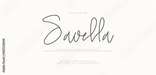 Signature Font Uppercase Lowercase and Number. Calligraphy Logotype Script Brush Font Type Font lettering handwritten. vector illustration 
