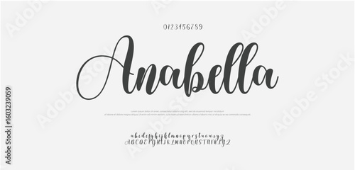 Signature Font Uppercase Lowercase and Number. Calligraphy Logotype Script Brush Font Type Font lettering handwritten. vector illustration 
