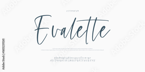 Signature Font Uppercase Lowercase and Number. Calligraphy Logotype Script Brush Font Type Font lettering handwritten. vector illustration 
