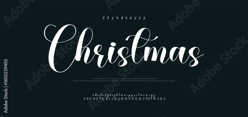 Christamas Signature Font Uppercase Lowercase and Number. Calligraphy Logotype Script Brush Font Type Font lettering handwritten. vector illustration 
