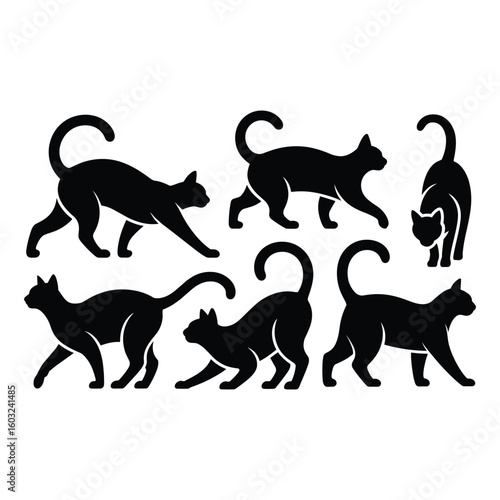 Fotografie Collection of black cat silhouettes in various poses silhouette