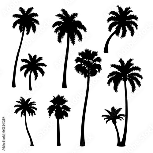 Diverse black palm tree silhouettes tropical summer collection