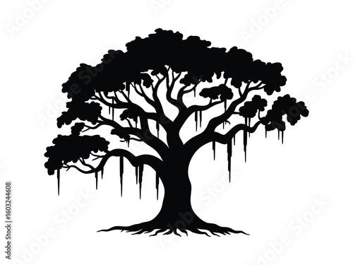 Spanish moss draping from live oak tree silhouette vector illustration on white background 

