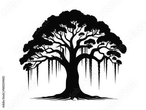 Spanish moss draping from live oak tree silhouette vector illustration on white background 
