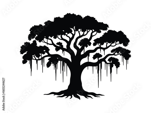 live oak tree silhouette with spanish moss draping vector artwork

