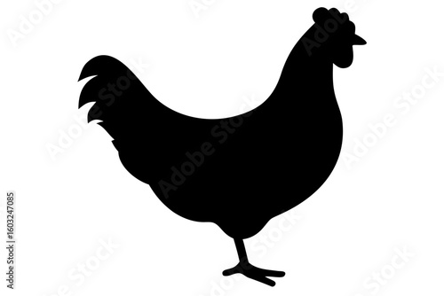 Brahma Chicken Silhouette poultry bird