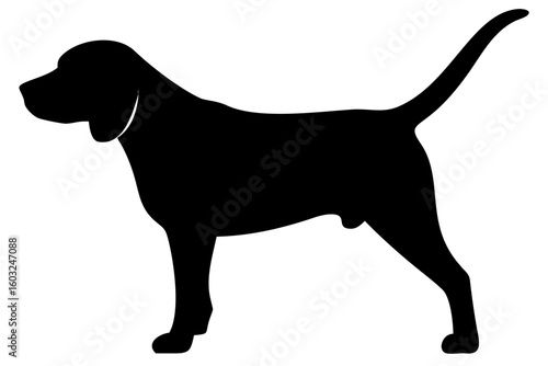 Brown beagle dog silhouette on white background animal