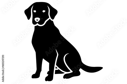 Golden Retriever Dog Silhouette animal 5