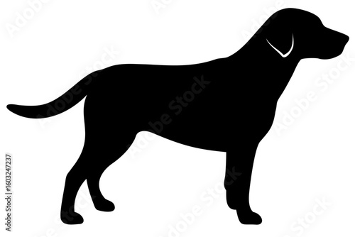 Golden Retriever Dog Silhouette animal 8