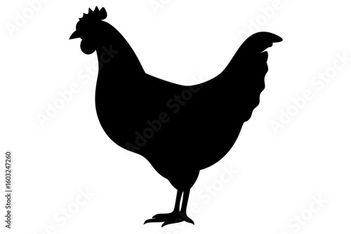 Leghorn Chicken Silhouette poultry bird