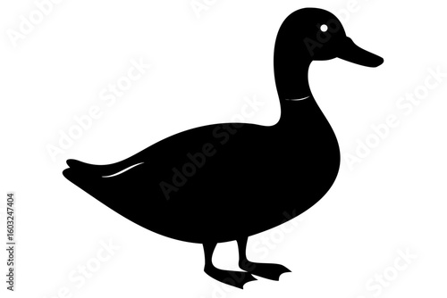 Rouen duck silhouette on white background bird animal