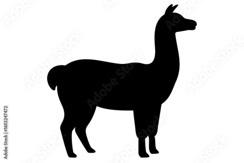 Silhouette of a Llama with a Saddle animal equestrian
