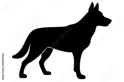 White German Shepherd Dog Silhouette animal canine