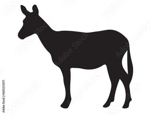 Okapi animal vector on white background