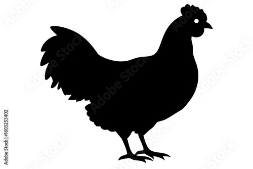 Polish Chicken Silhouette fowl poultry