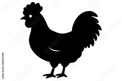 Silkie Chicken Silhouette on White Background poultry