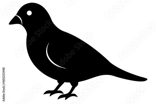 Two Lovebirds Perched Together Silhouette couple pair