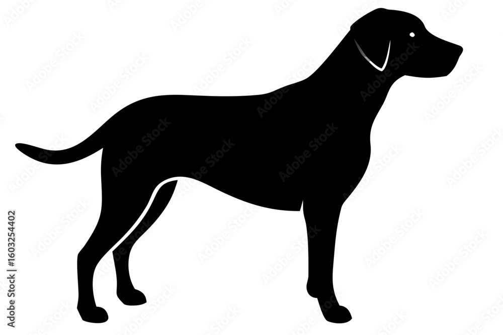 Naklejka premium Black Labrador Silhouette with White Background animal