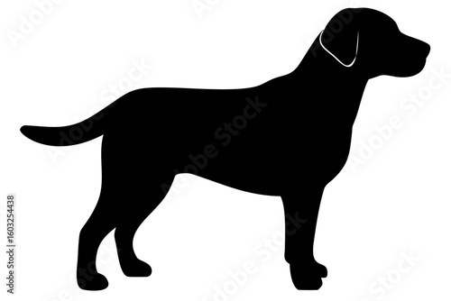 Golden Retriever Dog Silhouette animal 1