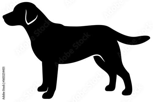 Golden Retriever Dog Silhouette animal