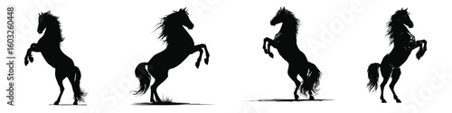 Wild Horse Vector Silhouettes, Rearing Equine Poses with Flowing Mane and Tail