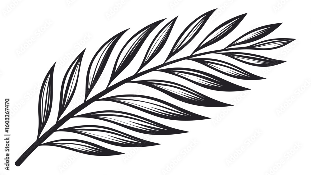 Obraz premium Elegant black and white palm leaf illustration for tropical designs and creative projects offering a minimalist and stylish botanical element