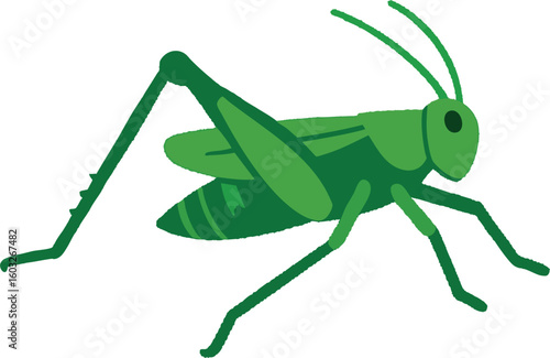 Flat vector grasshopper mid-jump, long hind legs and bold green body, vector-friendly, isolated on white
