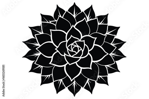 Black and White Mandala Illustration of a Succulent Plant with Overlapping Leaves