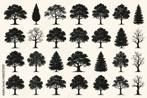 Vector tree silhouette collection. Set of 30 different isolated black trees. Oak, pine, deciduous, coniferous forest plant icons for nature and park graphic design.