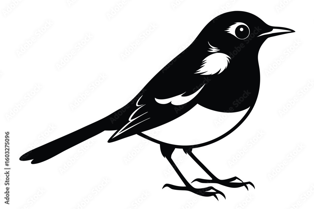 Fototapeta premium Simple Black and White Illustration of an Oriental MagpieRobin Bird Posing Sideways