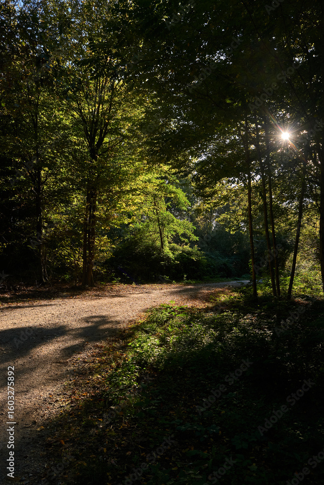 Naklejka premium Historic baroque villa with gardens in northern Italy on a sunny day