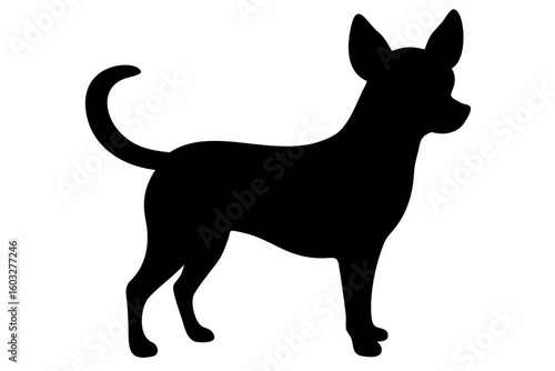 Short haired chihuahua dog silhouette animal