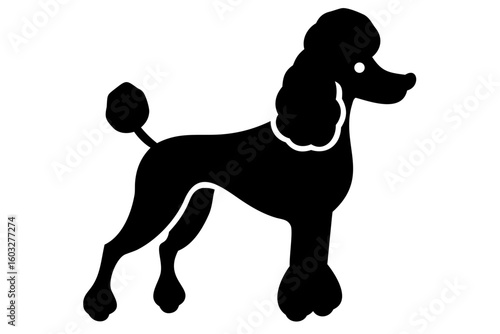 Spotted Poodle Dog Silhouette animal