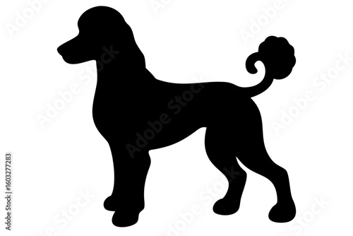 Tan Poodle Dog Silhouette on White Background animal