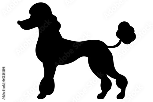 Giant Poodle Dog Silhouette animal