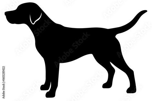 White Beagle Dog Silhouette on White Background animal