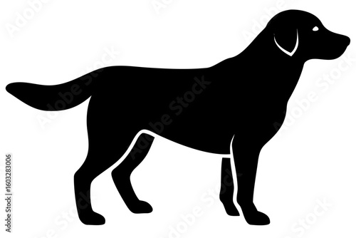 Golden Retriever Dog Silhouette animal