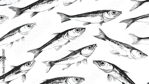 Detailed Retro Realistic Anchovies Drawing for Professionals
