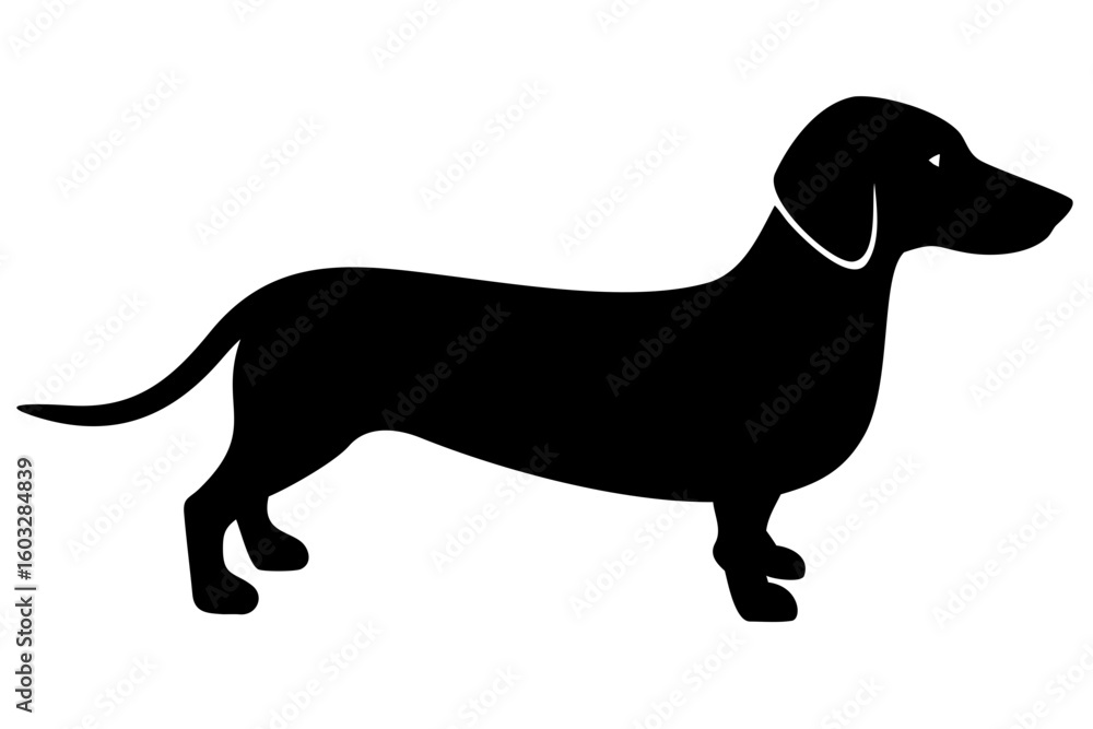 Blue Dachshund Silhouette on White Background animal Blue Dachshund Silhouette on White Background animal