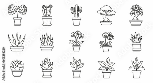 Houseplants Line Icon Set – Succulents, Monstera, Cactus, Bonsai, Aloe Vera, Orchid, Peace Lily Vector

