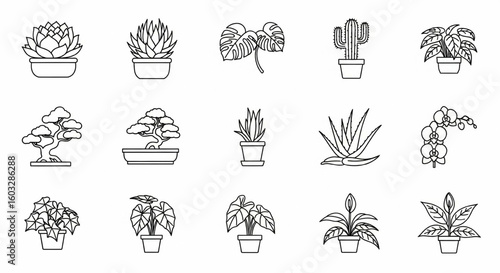 Houseplants Line Icon Set – Succulents, Monstera, Cactus, Bonsai, Aloe Vera, Orchid, Peace Lily Vector


