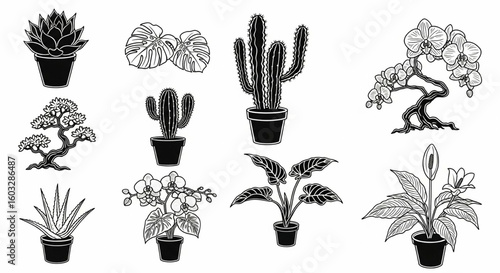 Houseplants Line Icon Set – Succulents, Monstera, Cactus, Bonsai, Aloe Vera, Orchid, Peace Lily Vector

