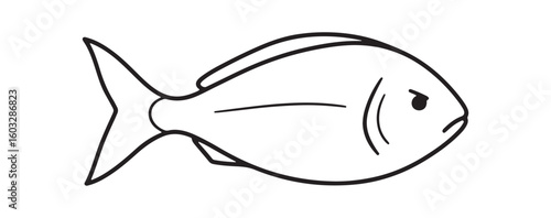 A diverse set of thin line fish and fishing icons with transparent backgrounds and editable strokes