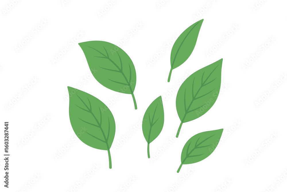 Fototapeta premium Set of simple green leaves vector illustration. Collection of fresh tea leaves or foliage icons. Natural, organic, eco friendly plant concept for flat design. Spring, summer symbol.