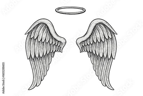 Angel Wings and Halo Isolated Vector Illustration. Hand Drawn Feathered Angelic Wings and Glowing Halo on Black Background, Detailed White Line Art, Spiritual Religious Symbol, Transparent Background