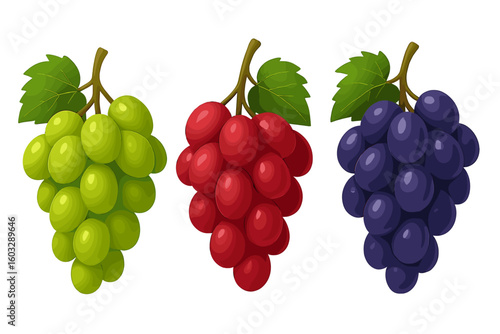 Vibrant green, red, and purple grape bunches vector illustration on transparent background, fresh fruit cluster detailed design for food, agriculture, and vineyard themes